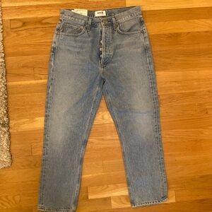 Agolde Riley Straight Crop in Renewal